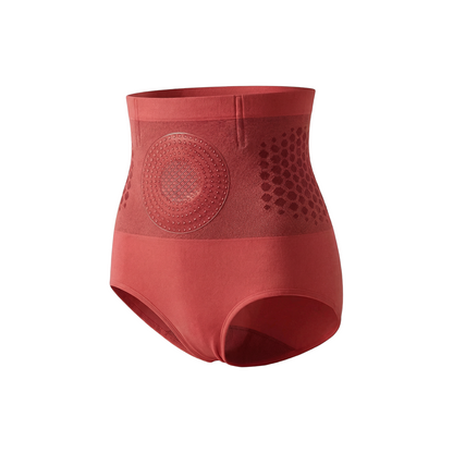 2026  4-in-1 Micro-Particle Shaping & Fat Burning Shorts